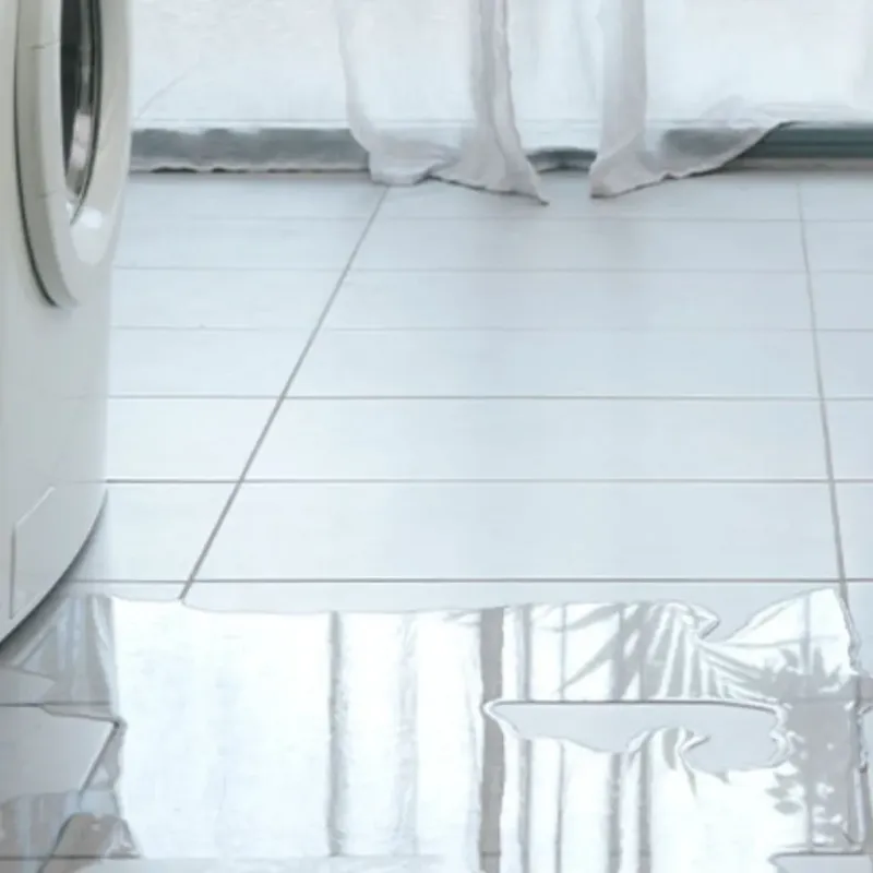 Appliance Leak Cleanup in Justice, IL