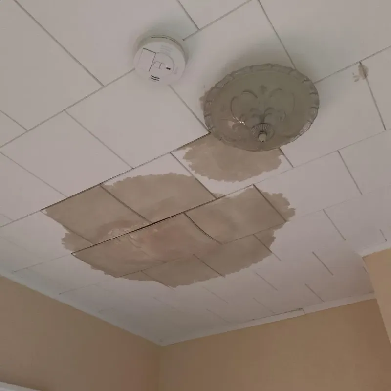 Ceiling Water Damage Repair in Justice, IL