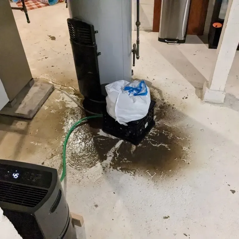 Sewage Backup Cleanup Service in Justice, IL